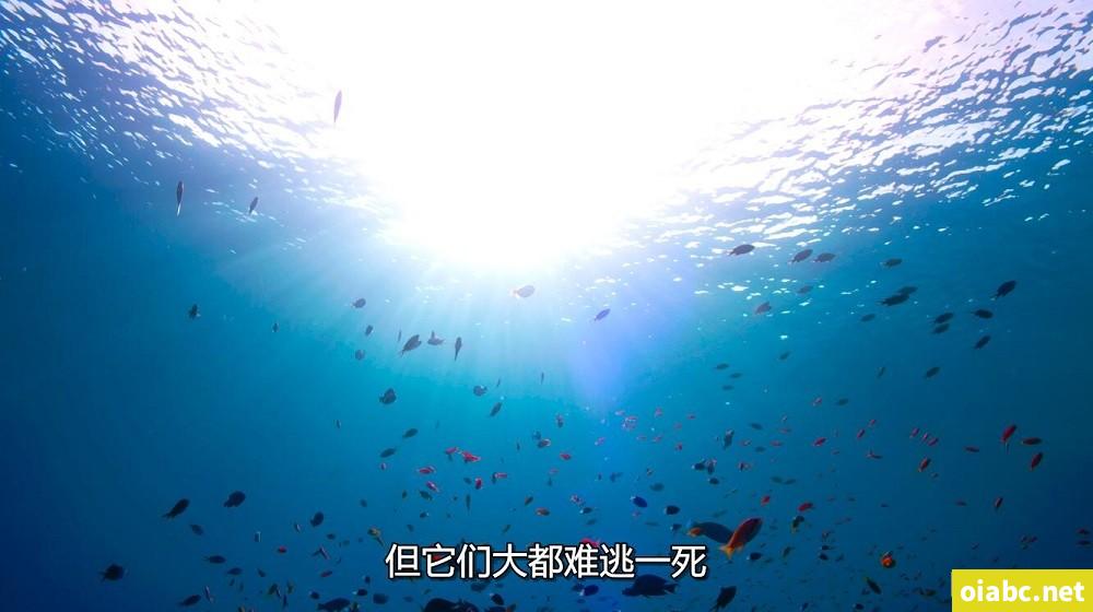 桌子底下跪含着剧照1